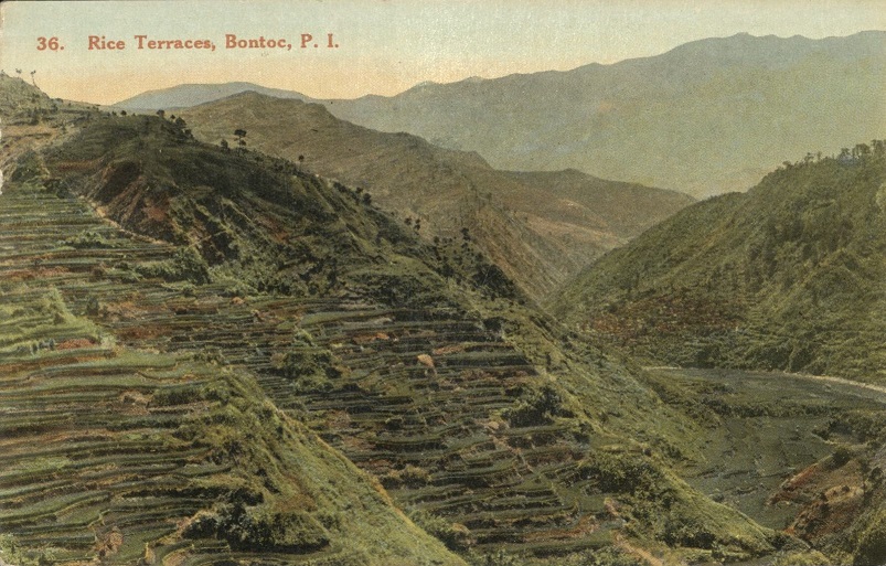 36. Rice Terraces, Bontoc, P. I.