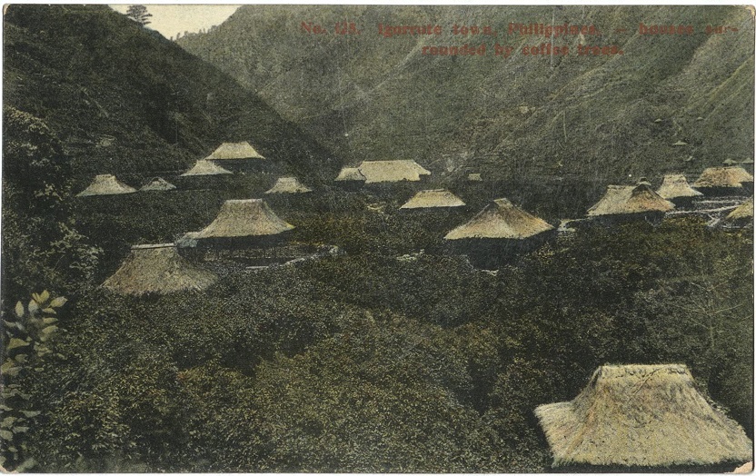 No. 125. Igorrote [Igorot] town, Philippines. ï¿½ Houses surrounded by coffee trees.