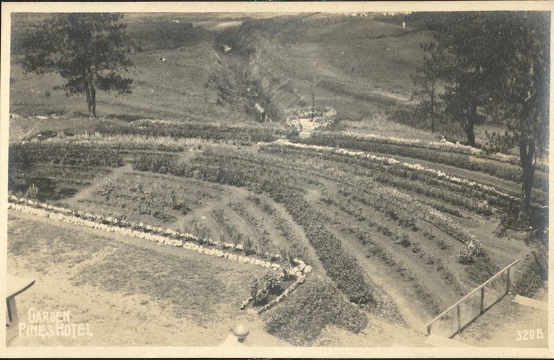 Garden, Pines Hotel ï¿½ 320B.