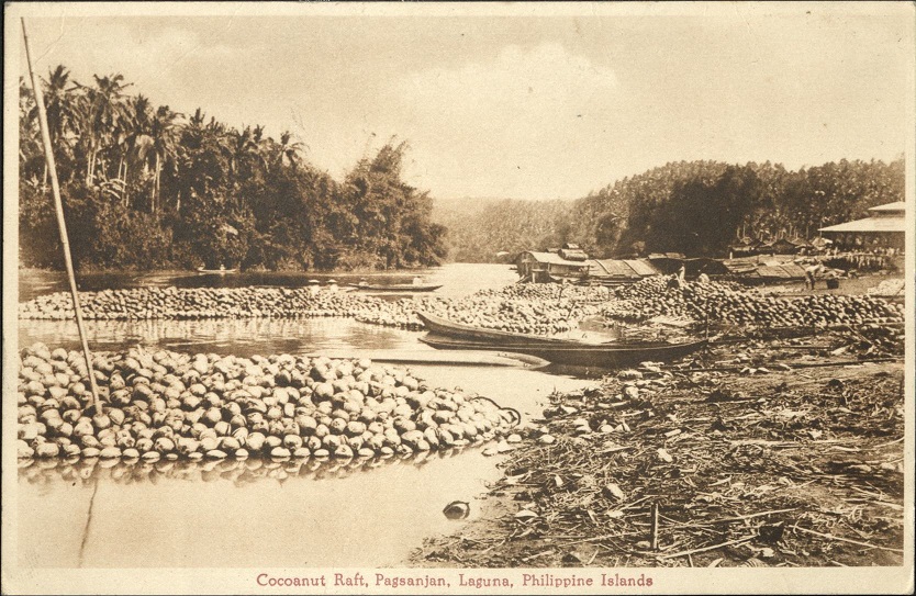 Cocoanut [Coconut] Raft, Pagsanjan, Laguna, Philippine Islands.