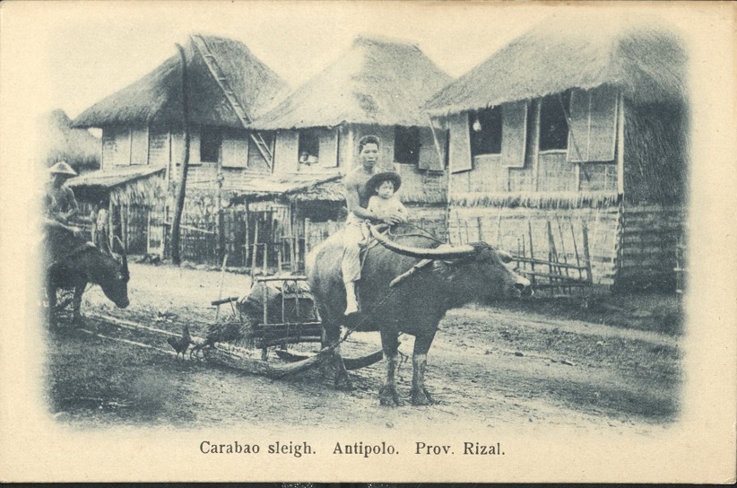 Carabao sleigh. Antipolo. Prov. Rizal.