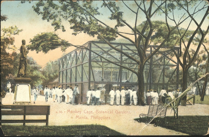 A 95 ï¿½ Monkey Cage, Botanical Gardens, Manila, Philippines.