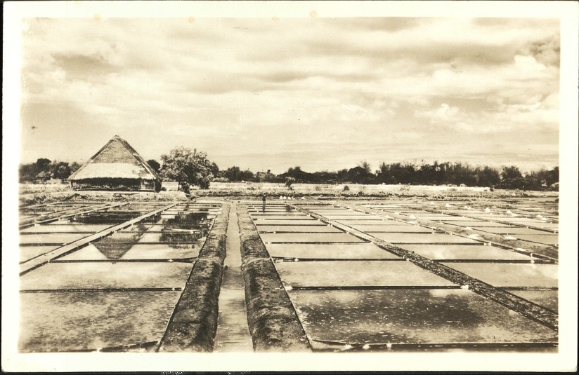 [Untitled ï¿½ Salt farm at Paraï¿½aque].