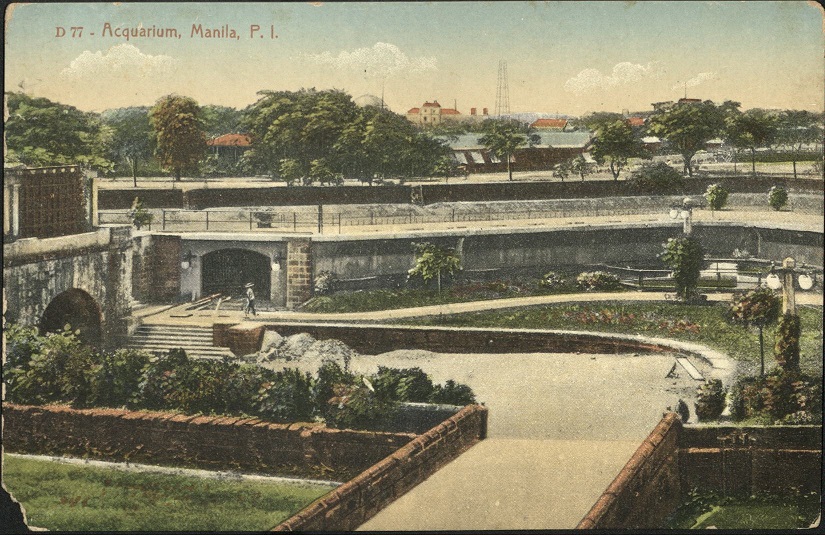 D 77 ï¿½ Acquarium [Aquarium], Manila, P. I.