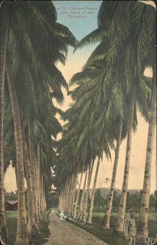 A 170 � Cocoanut Avenue, Jolo, Island of Jolo, Philippines.