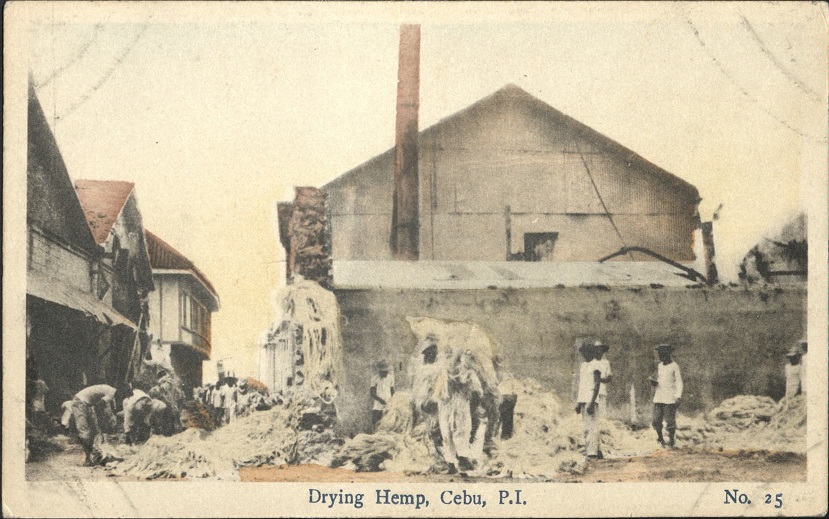 Drying Hemp, Cebu, P. I. [No. 25].