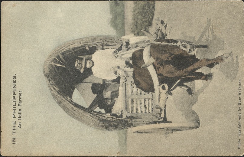 IN THE PHILIPPINES. An Iloilo Farmer.