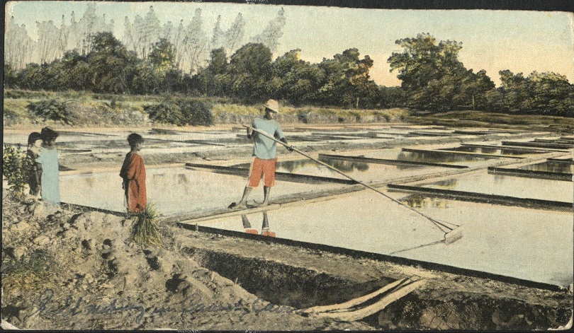 44. Making salt, near Manila. [Caption cut off].