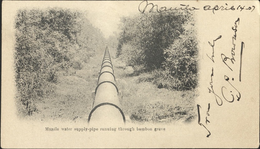 Manila water supply-pipe running through bamboo grove.