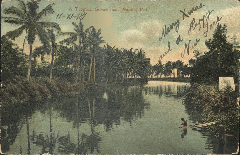 A Tropical Scene near Manila, P. I.