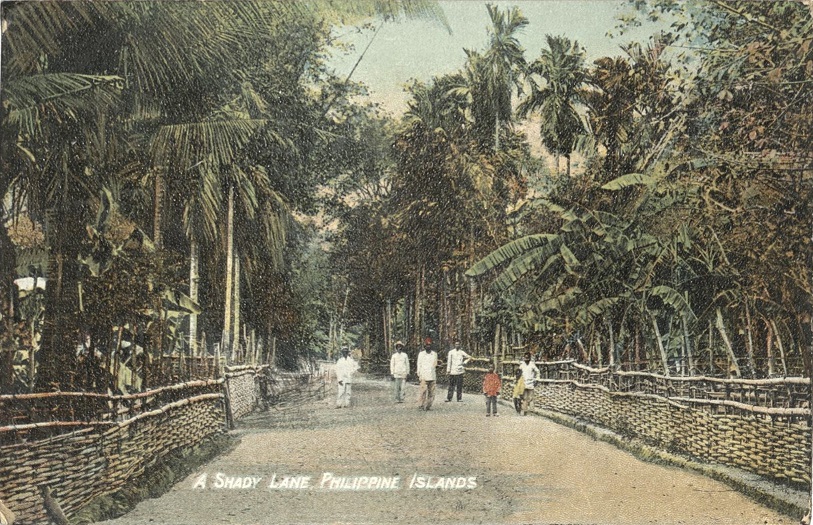 A Shady Lane, Philippine Islands.