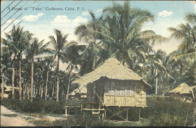 A home of ï¿½tubaï¿½ gatherers, Cebu, P. I.