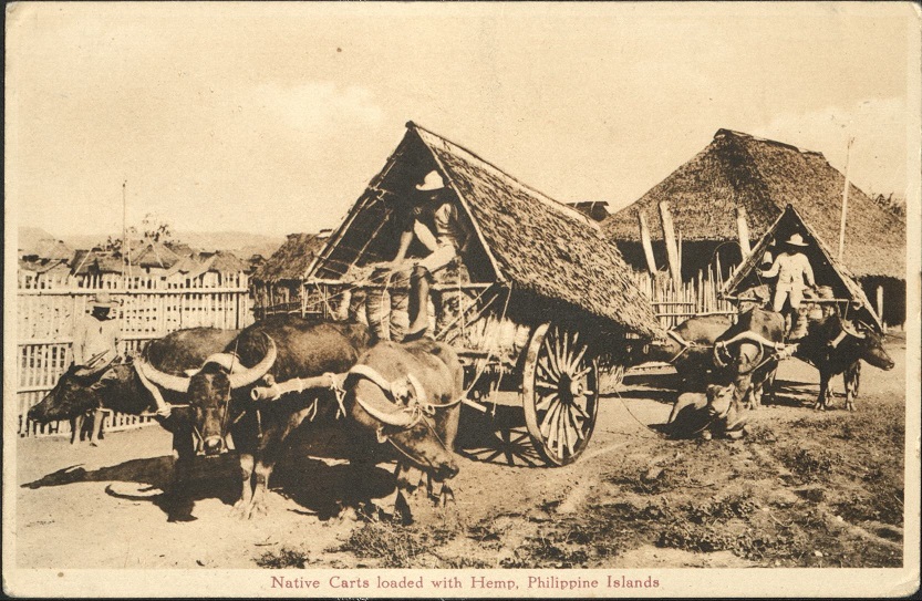 Native Carts loaded with Hemp, Philippine Islands.