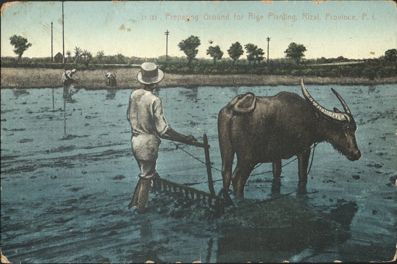 D 30 � Preparing ground for rice planting, Rizal, Province, P. I.
