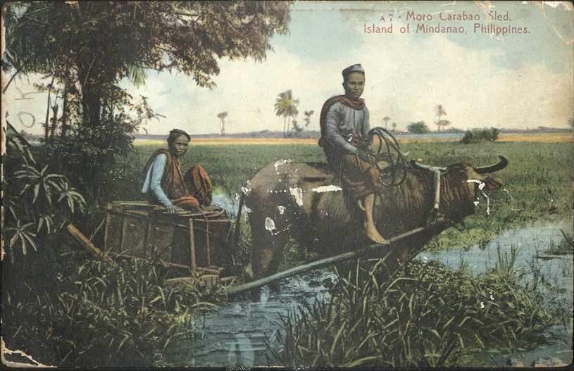 A 7 � Moro Carabao Sled, Island of Mindanao, Philippines.
