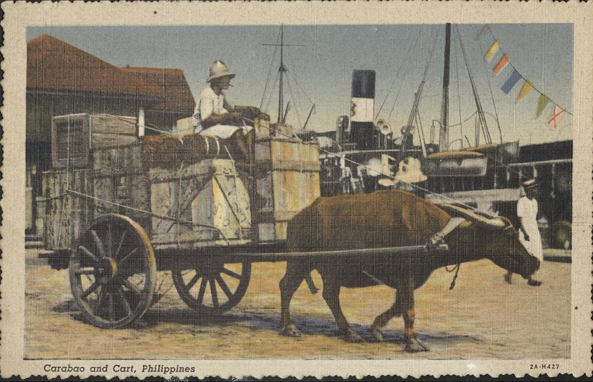 Carabao and Cart, Philippines.