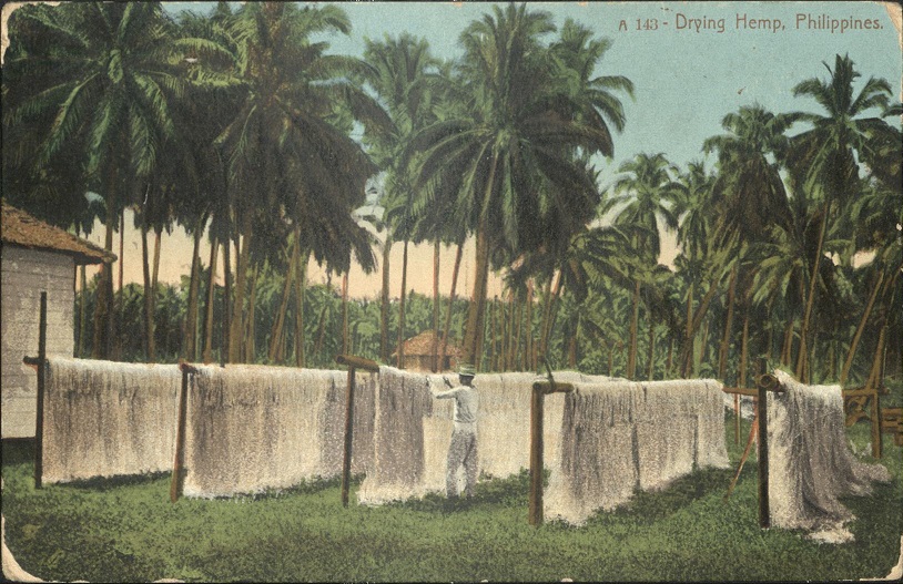 A 143 ï¿½ Drying hemp, Philippines.