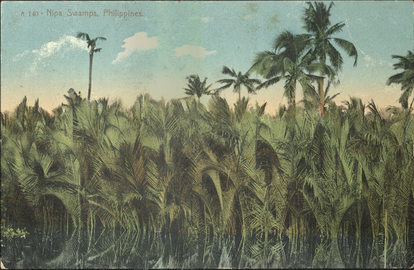 A 140 ï¿½ Nipa Swamps, Philippines.