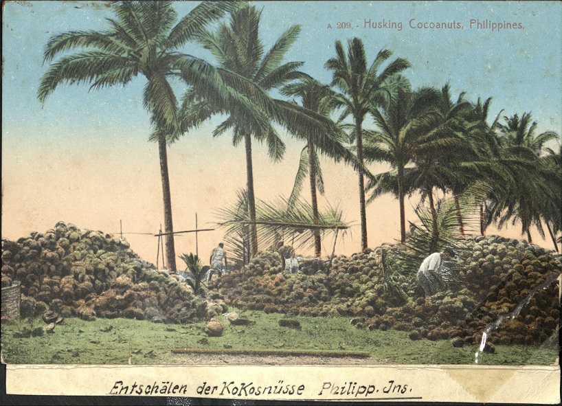 A 209 ï¿½ Husking Cocoanuts, Philippines.
