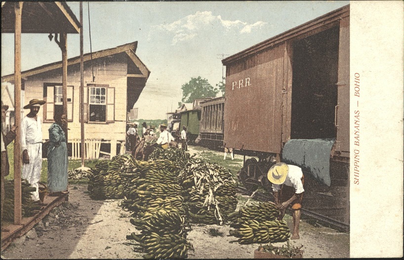 Shipping Bananas � Bohio.
