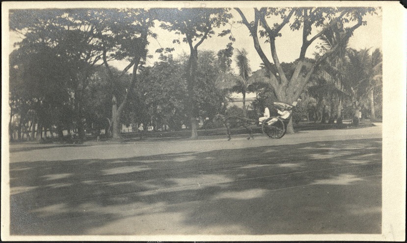 [Untitled ï¿½ Carromata in park].