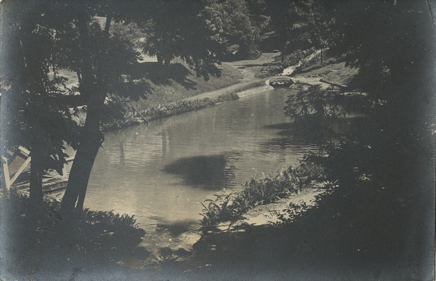 [Untitled ï¿½ Pasonanca Park, Zamboanga].