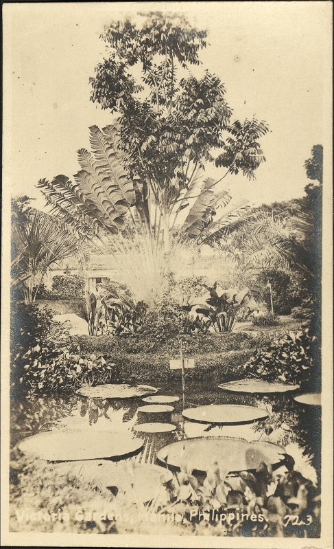 Victoria Gardens, Manila, Philippines.