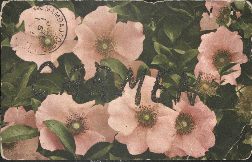 [Untitled ï¿½ Pink flowers].