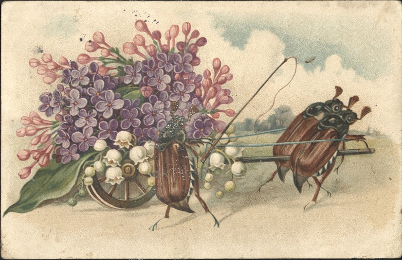[Untitled ï¿½ Beetles pulling flowers].