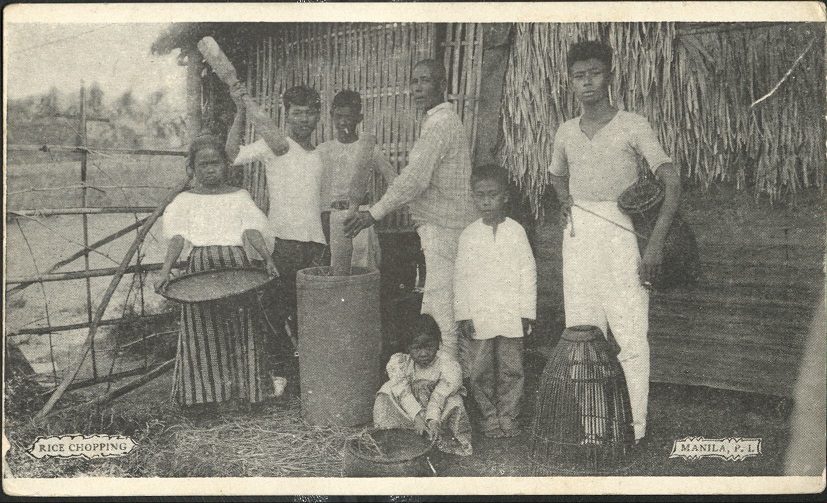 Rice Chopping. Manila, P. I.