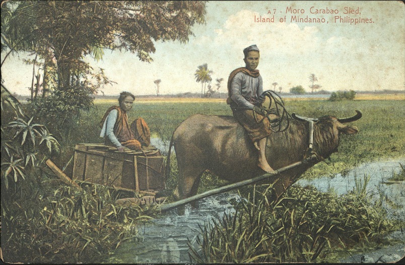 A 7 ï¿½ Moro Carabao Sled, Island of Mindanao, Philippines.
