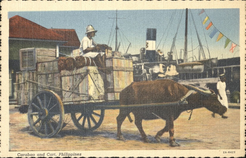 Carabao and Cart, Philippines.