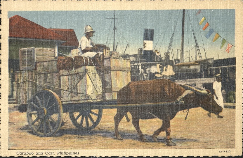 Carabao and Cart, Philippines.