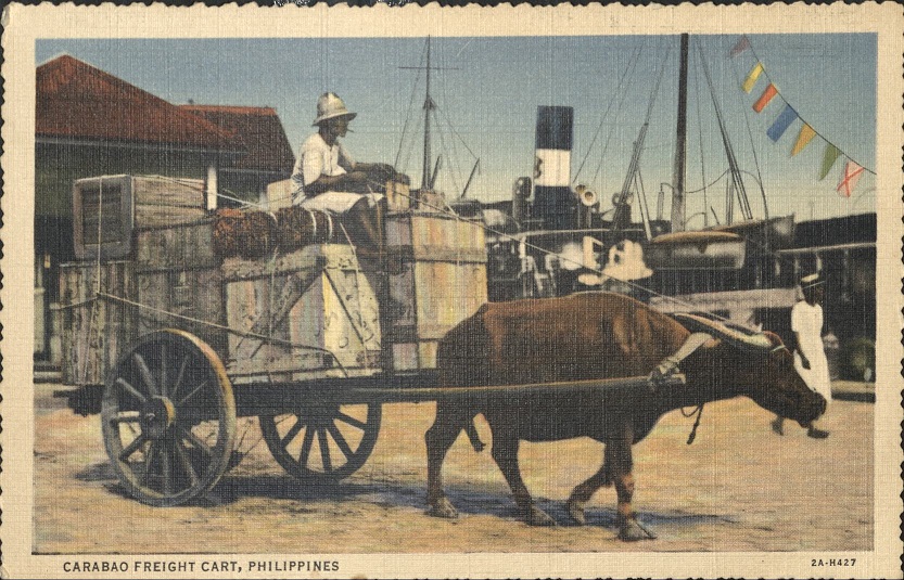 Carabao and Cart, Philippines.