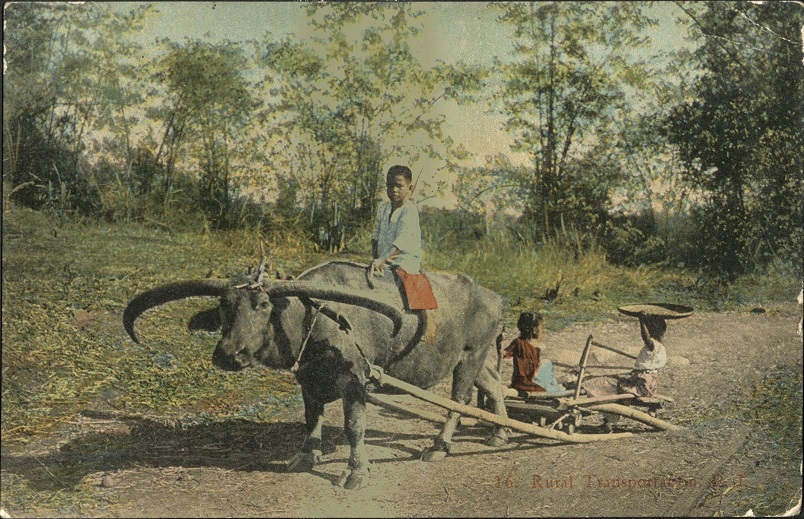 16. Rural Transportation, P. I.