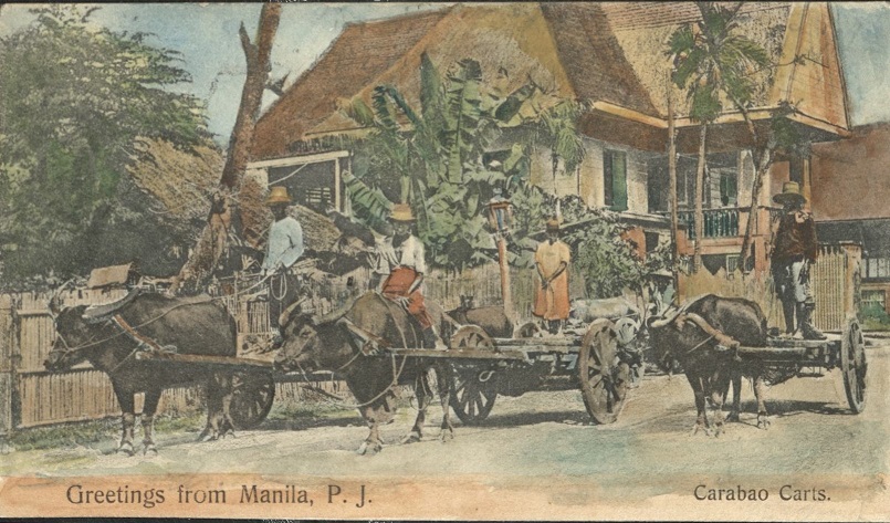 Greetings from Manila, P. J. [P. I.] / Carabao Carts.