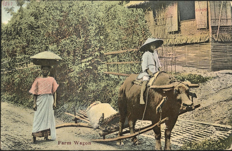Farm Wagon.