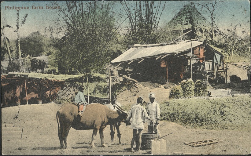 Philippine Farm House.