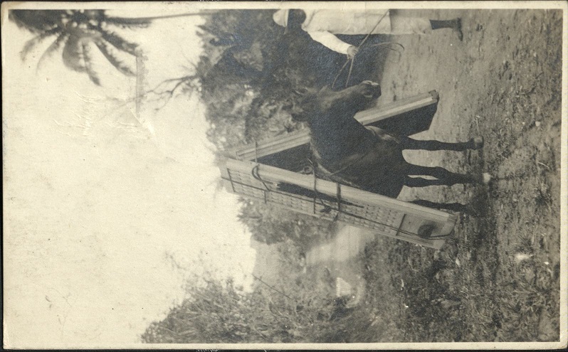 [Untitled ï¿½ horse carrying doors].