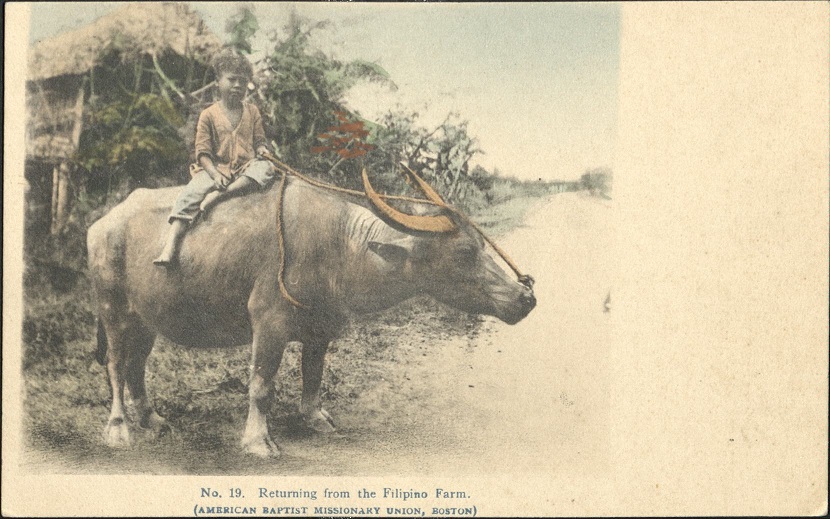 No. 19 � Returning from the Filipino Farm.