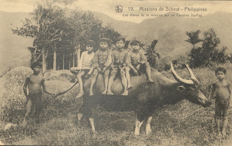 19. Missions de Scheut ï¿½ Philippines. Les ï¿½leves de la mission sur un Carabao (buffle). [The pupils of the mission on a Carabao (buffalo).]