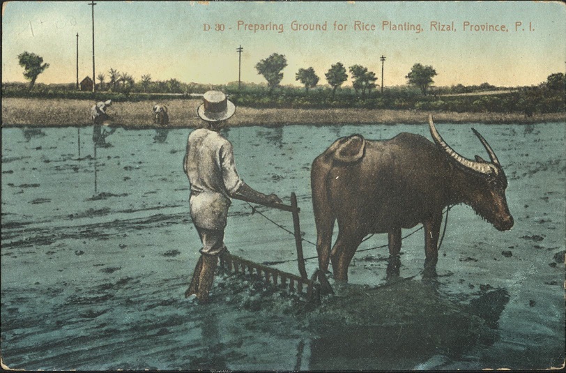 D 30 � Preparing ground for rice planting, Rizal, Province, P. I.