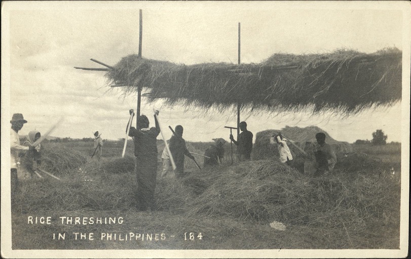 Rice Threshing in the Philippines � 184.