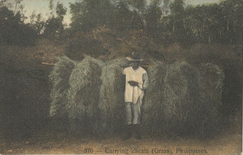 370 � Carrying Zacate (Grass),