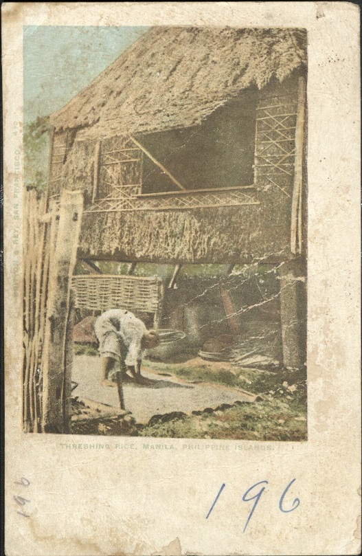 Threshing Rice, Manila, Philippine Islands.
