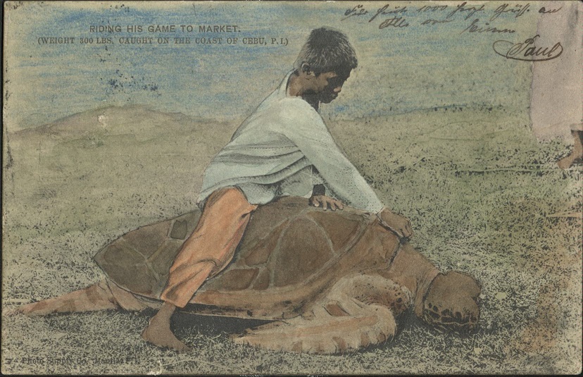 Riding his Game to Market. (Weight 300 lbs. Caught on the coast of Cebu, P. I.