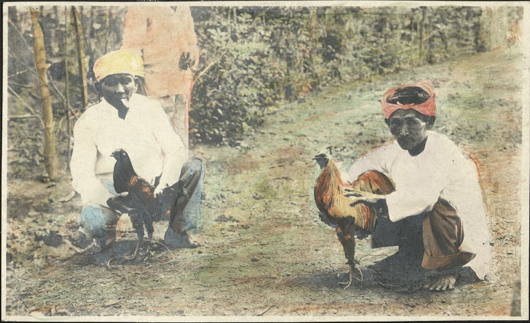 {Untitled ï¿½ Two men ready for cockfight].