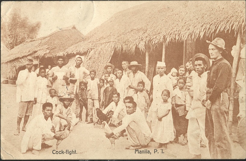 Cock-fight. Manila, P. I.