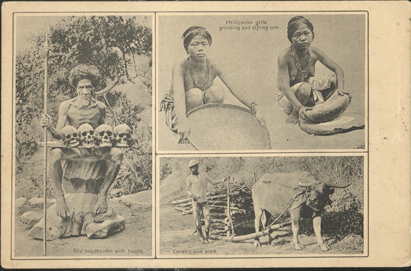 Old headhunter with heads / Philippino [Filipino] girls grinding and sifting corn / Carabao and sled.