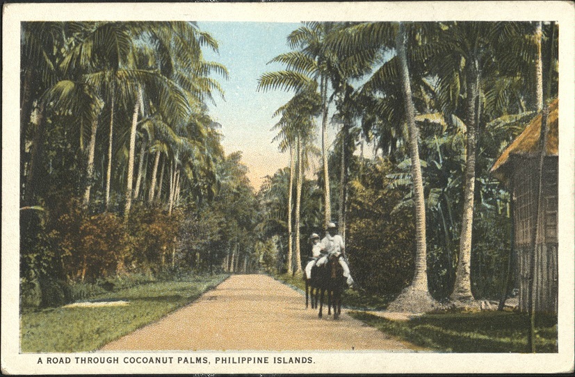 A Road Through Cocoanut Palms, Philippine Islands.